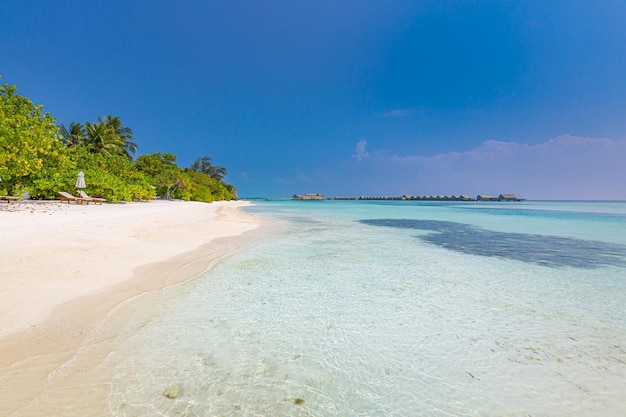 Vue panoramique sur la belle plage tropicale. Incroyable lagon de mer, paysage de ciel ensoleillé de palmiers