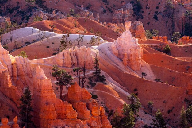 Vue panoramique sur Bryce Canyon