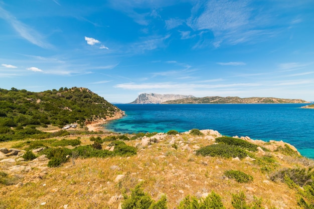 Vue panoramique de Capo Coda Cavallo