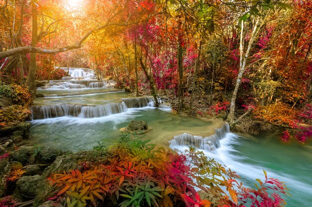 Photo vue panoramique de la cascade dans la forêt en automne