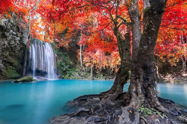 Vue panoramique de la cascade dans la forêt en automne