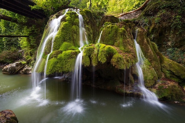 Vue panoramique de la cascade dans la forêt