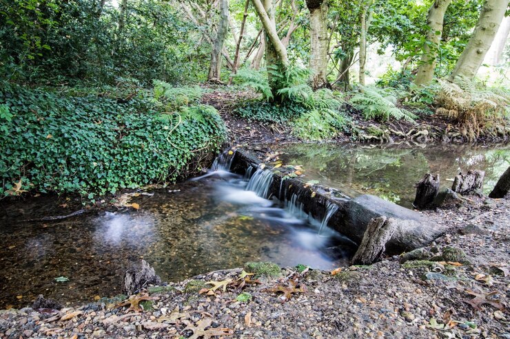 Photo vue panoramique de la cascade dans la forêt