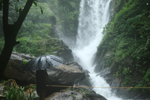 Photo vue panoramique de la cascade dans la forêt