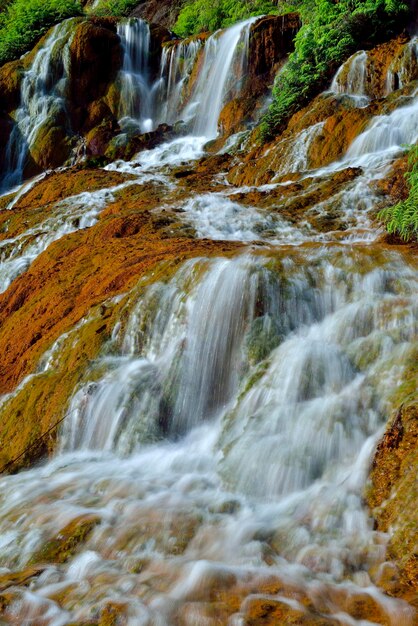 Vue panoramique de la cascade dans la forêt