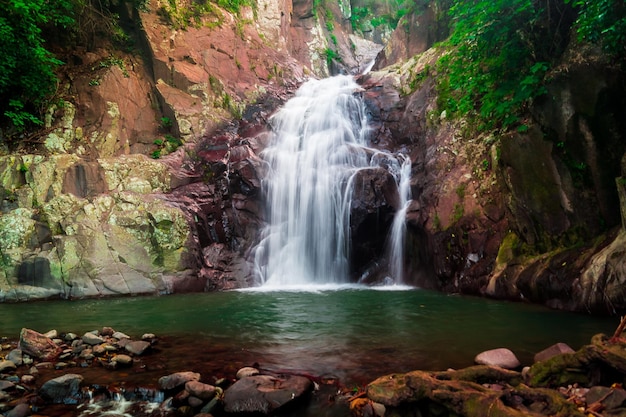 Vue panoramique de la cascade dans la forêt
