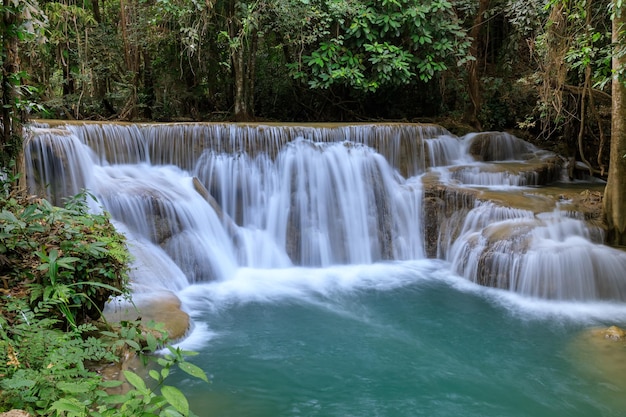 Photo vue panoramique de la cascade dans la forêt