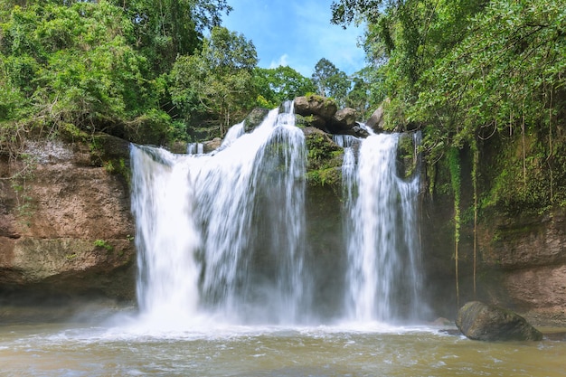 Vue panoramique de la cascade dans la forêt