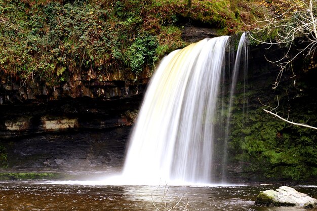 Vue panoramique de la cascade dans la forêt