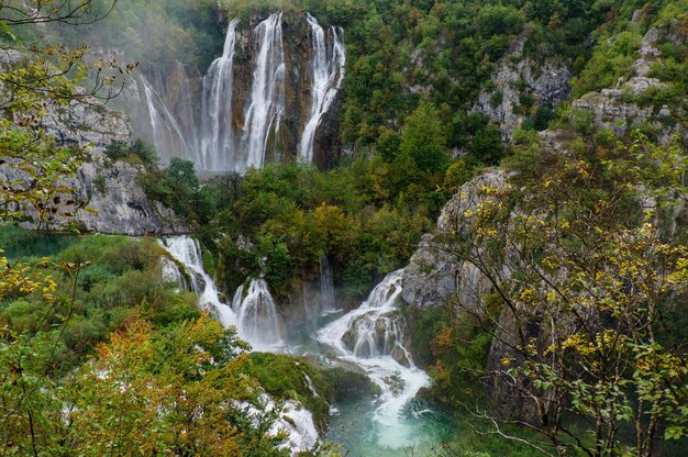 Photo vue panoramique de la cascade dans la forêt