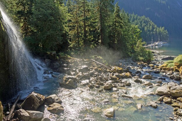 Vue panoramique de la cascade dans la forêt