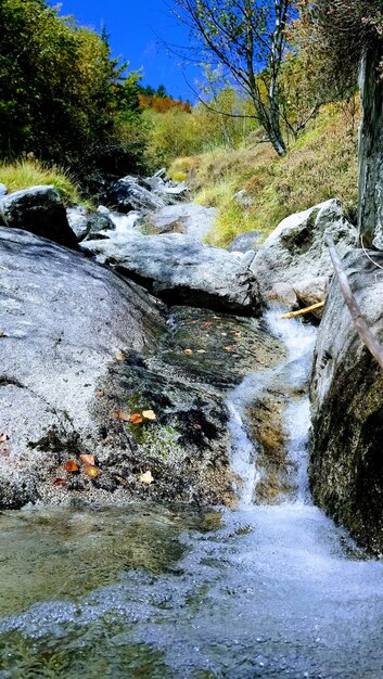 Vue panoramique de la cascade dans la forêt