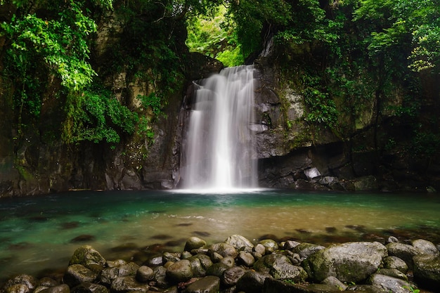 Vue panoramique de la cascade dans la forêt