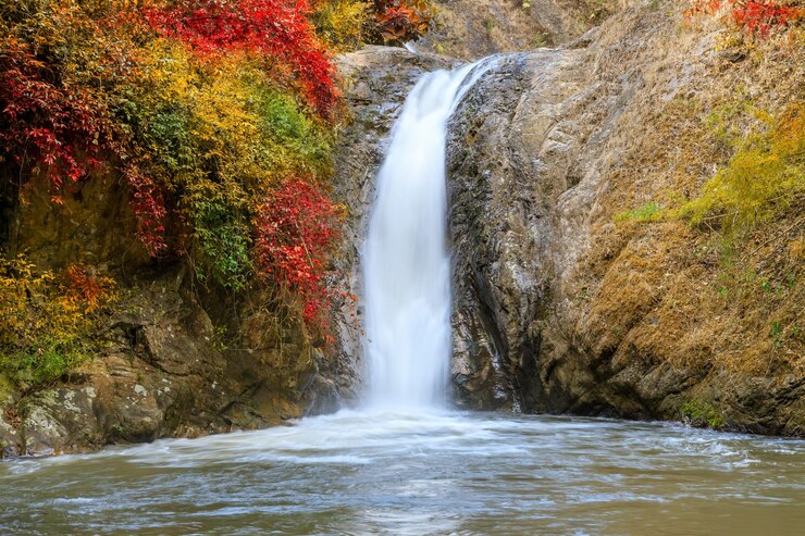 Photo vue panoramique de la cascade dans la forêt