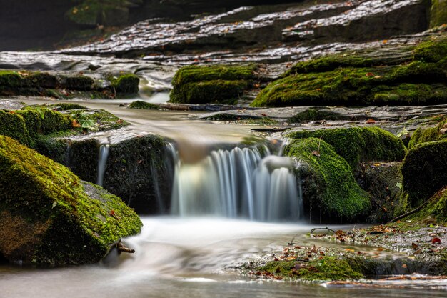 Photo vue panoramique de la cascade dans la forêt