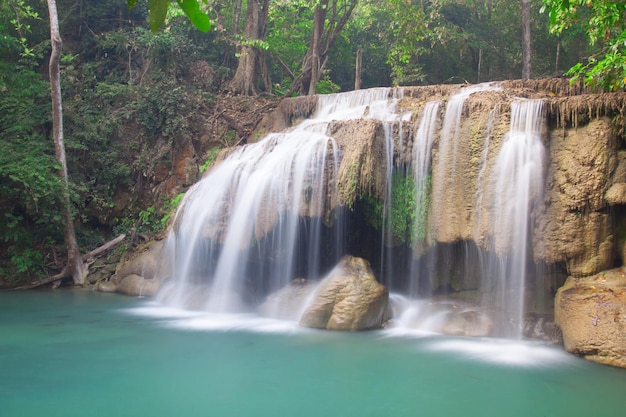 Vue panoramique de la cascade dans la forêt