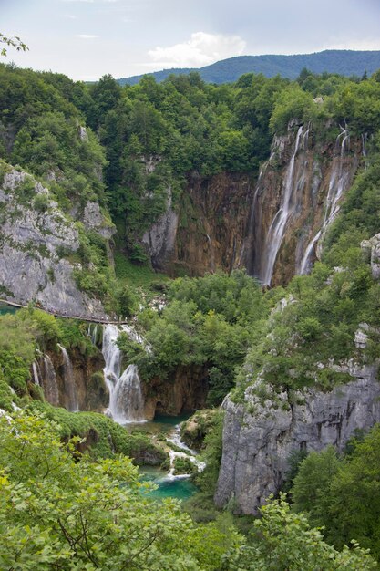 Photo vue panoramique de la cascade dans la forêt