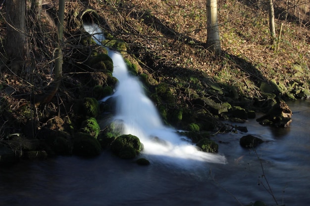 Vue panoramique de la cascade dans la forêt