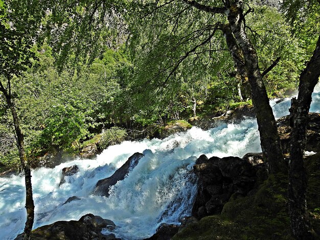 Photo vue panoramique de la cascade dans la forêt