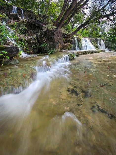 Photo vue panoramique de la cascade dans la forêt