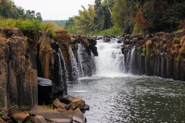 Vue panoramique de la cascade dans la forêt