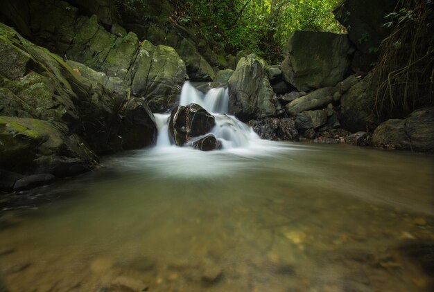 Photo vue panoramique de la cascade dans la forêt