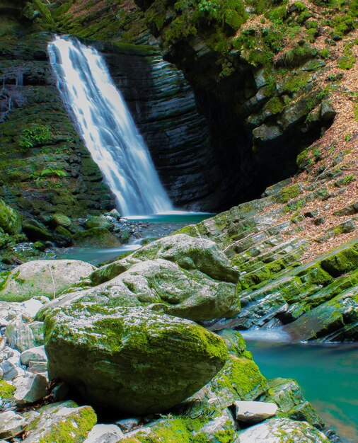 Photo vue panoramique de la cascade dans la forêt