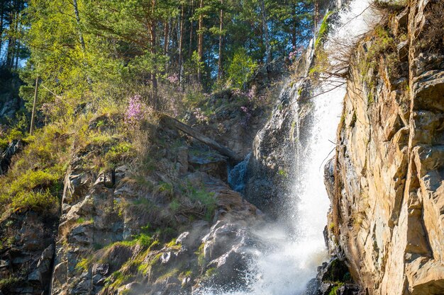 Photo vue panoramique de la cascade dans la forêt