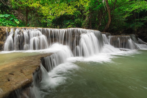 Vue panoramique de la cascade dans la forêt