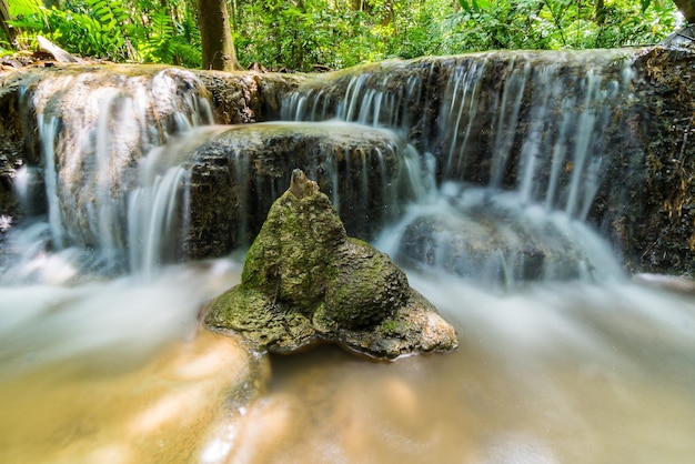 Vue panoramique de la cascade dans la forêt
