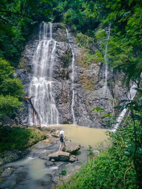 Photo vue panoramique de la cascade dans la forêt