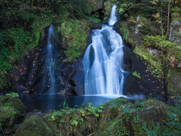 Vue panoramique de la cascade dans la forêt
