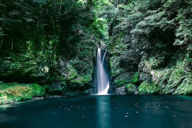 Vue panoramique de la cascade