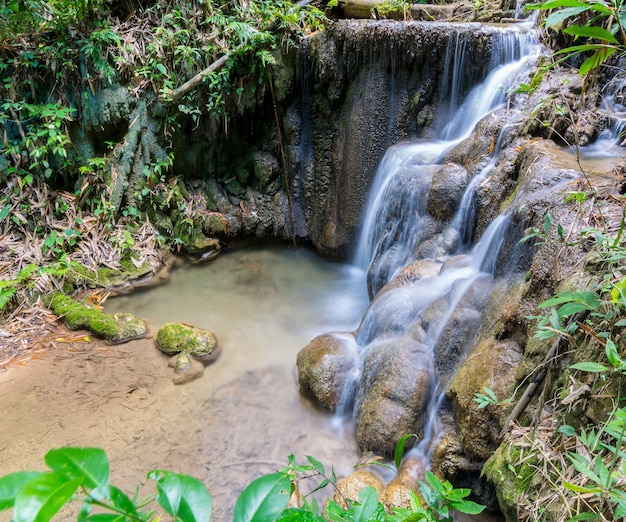 Vue panoramique de la cascade