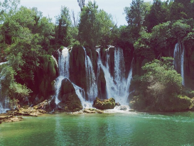 Vue panoramique de la cascade