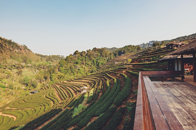 Photo vue panoramique d'un champ agricole sur un ciel dégagé