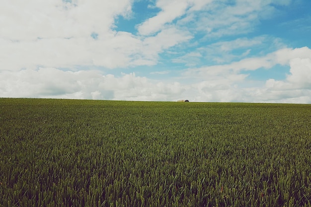 Vue panoramique d'un champ agricole sur un ciel nuageux