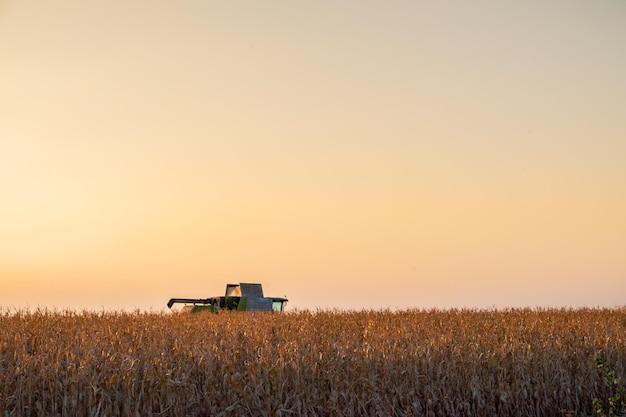 Vue panoramique d'un champ agricole contre le ciel au coucher du soleil