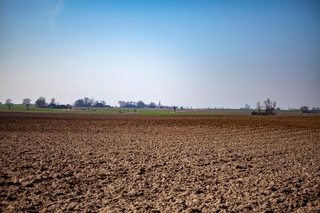 Vue panoramique d'un champ agricole contre un ciel dégagé