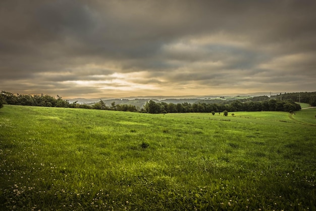 Vue panoramique d'un champ agricole contre un ciel nuageux au coucher du soleil