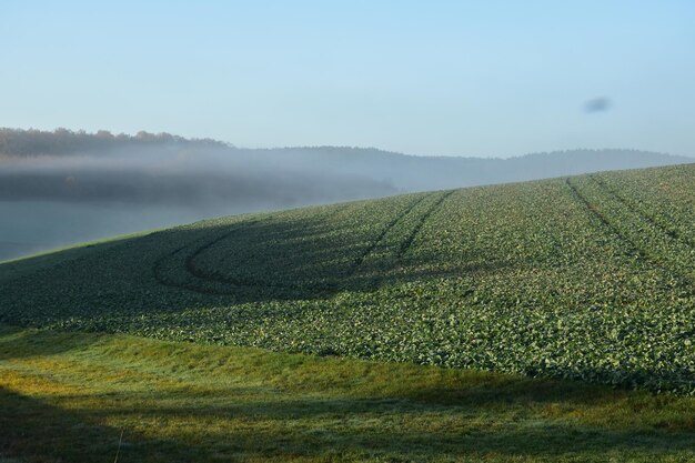 Photo vue panoramique d'un champ agricole contre le ciel