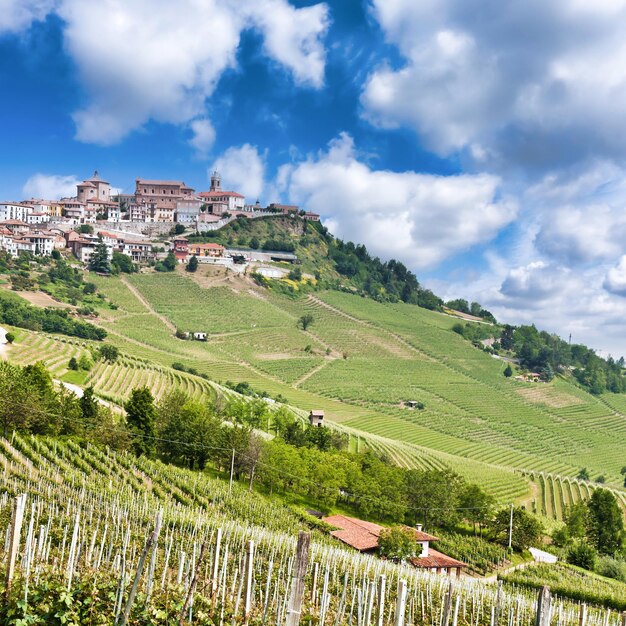 Vue panoramique d'un champ agricole contre le ciel