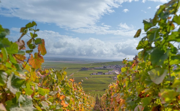 Photo vue panoramique d'un champ agricole contre le ciel