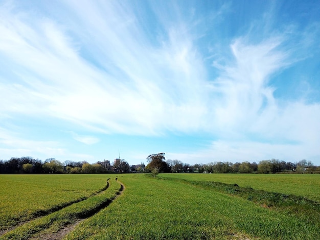 Vue panoramique d'un champ agricole contre le ciel