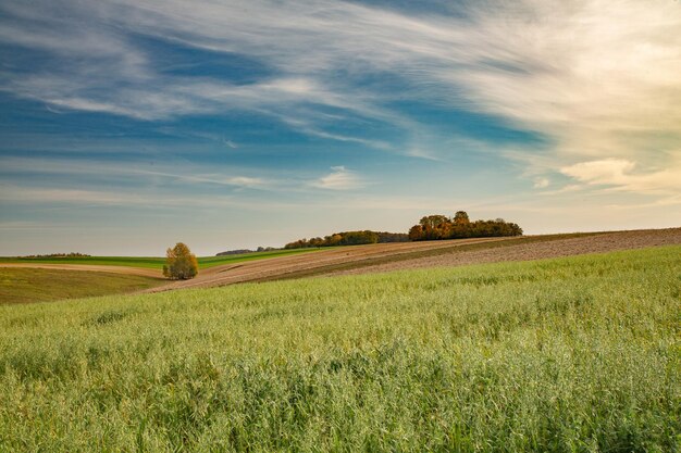 Photo vue panoramique d'un champ agricole contre le ciel