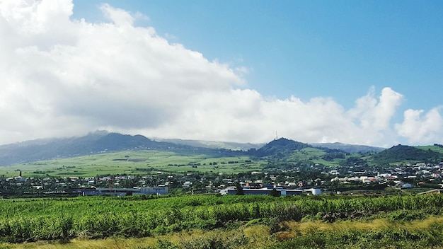 Vue panoramique d'un champ agricole contre le ciel