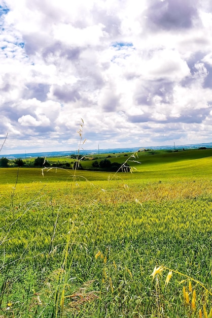 Photo vue panoramique d'un champ agricole contre le ciel