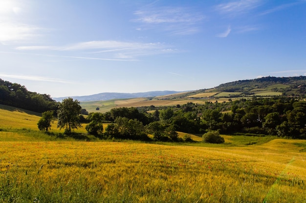 Vue panoramique d'un champ agricole contre le ciel