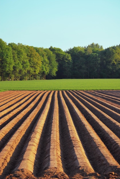 Photo vue panoramique d'un champ agricole contre le ciel