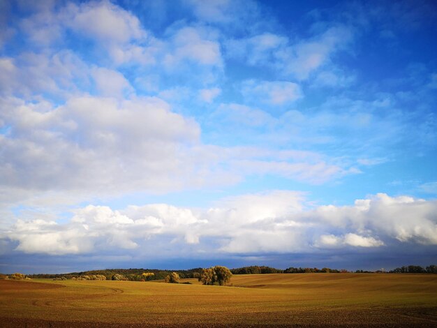 Vue panoramique d'un champ agricole contre le ciel